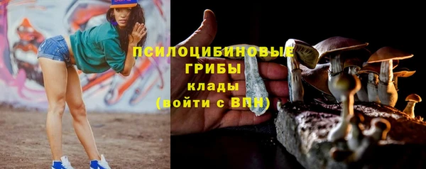 jwh Горняк