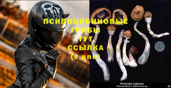 jwh Горняк