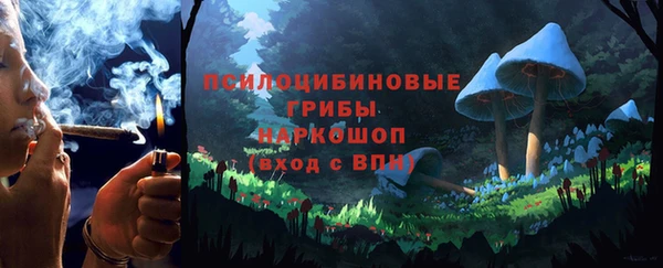 стафф Горнозаводск