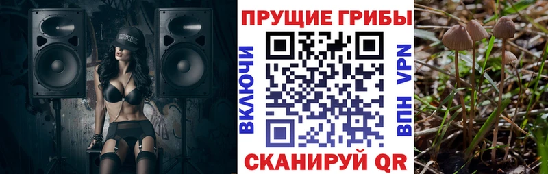 Галлюциногенные грибы Cubensis  Купить закладки  Инта 